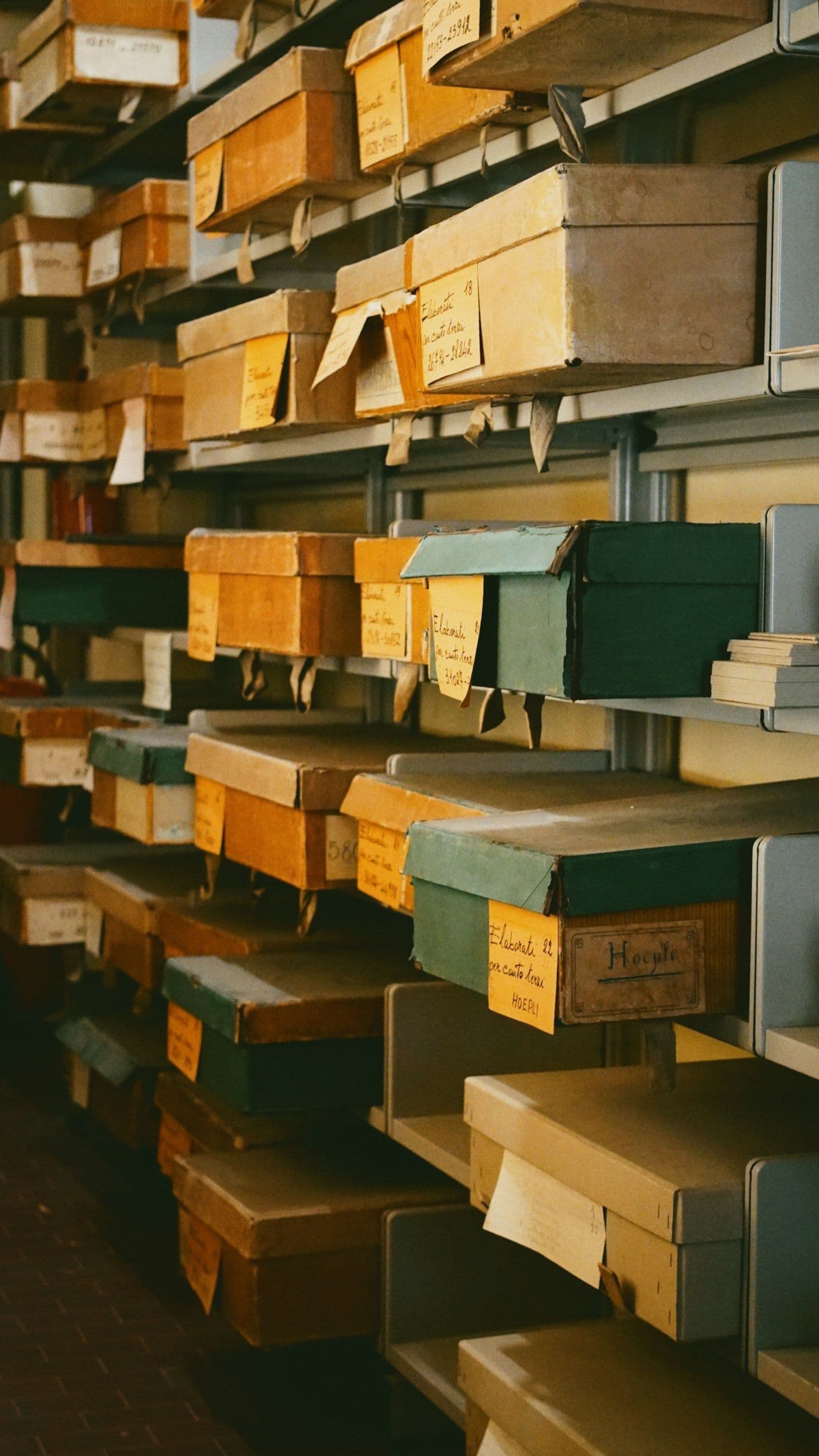 Shelves of labeled archive boxes